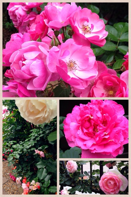f:id:toriki841:20140527163027j:plain f:id:toriki841:20140527163027j:plain