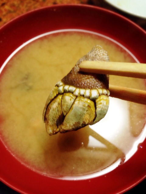 f:id:toriki841:20150329142458j:plain f:id:toriki841:20150329142458j:plain