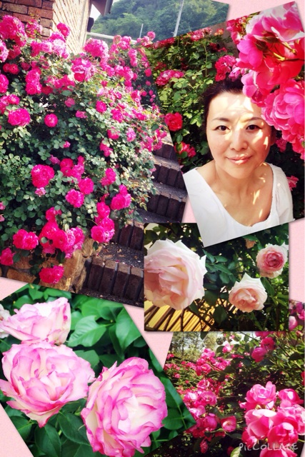 f:id:toriki841:20150527165645j:plain f:id:toriki841:20150527165645j:plain