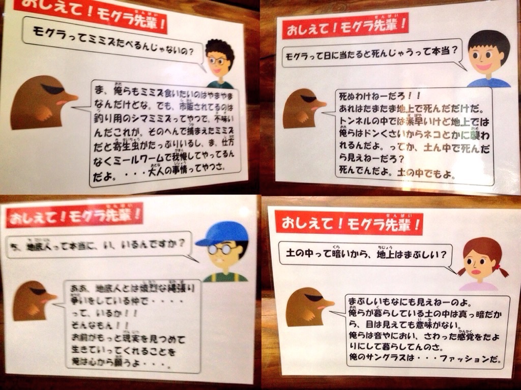 f:id:toriki841:20151023222714j:image f:id:toriki841:20151023222714j:image