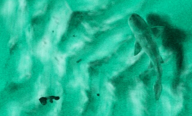 f:id:torikura:20160215214841j:plain