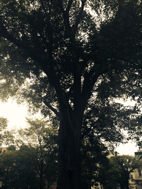 f:id:toropi1:20140823211632j:plain f:id:toropi1:20140823211632j:plain
