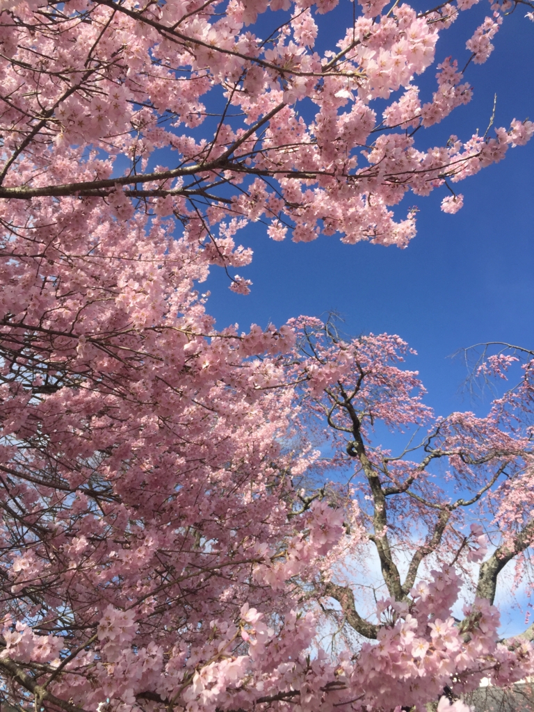 f:id:toshigolog:20160427060808j:plain