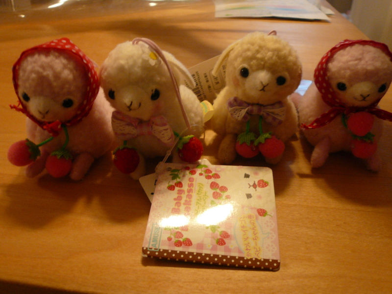 f:id:toshoin1117:20110605184900j:image f:id:toshoin1117:20110605184900j:image