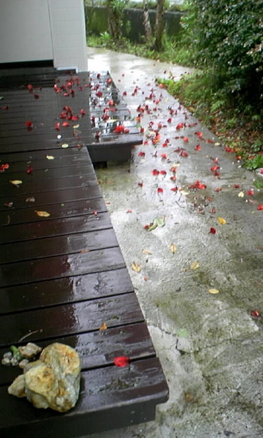 f:id:tosiki:20080704104110j:image:h300:left f:id:tosiki:20080704104110j:image:h300:left