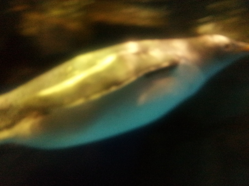 f:id:totoadad:20120929143655j:plain:w300 f:id:totoadad:20120929143655j:plain:w300