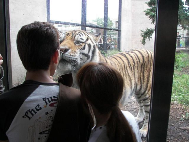 f:id:touristtbn:20070921115001j:image f:id:touristtbn:20070921115001j:image