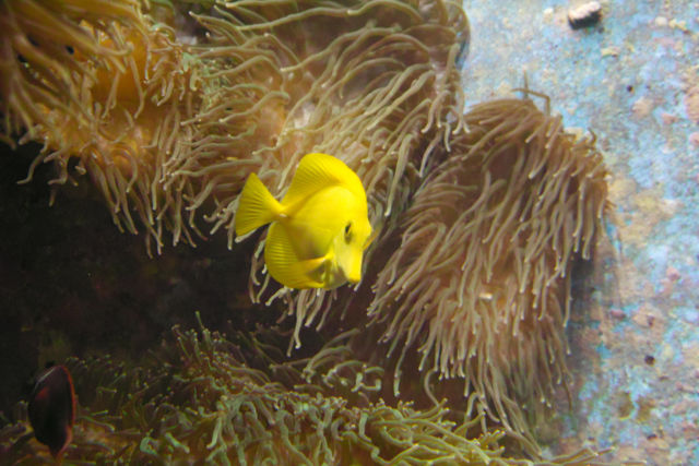 f:id:touristtbn:20101204101657j:image f:id:touristtbn:20101204101657j:image