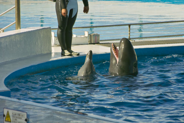 f:id:touristtbn:20101204111100j:image f:id:touristtbn:20101204111100j:image