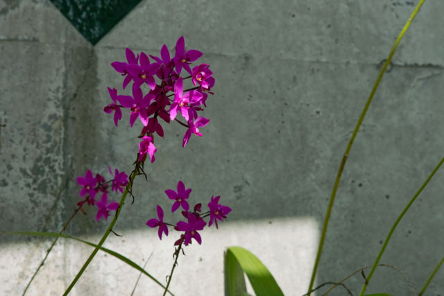 f:id:touristtbn:20101204123252j:image f:id:touristtbn:20101204123252j:image