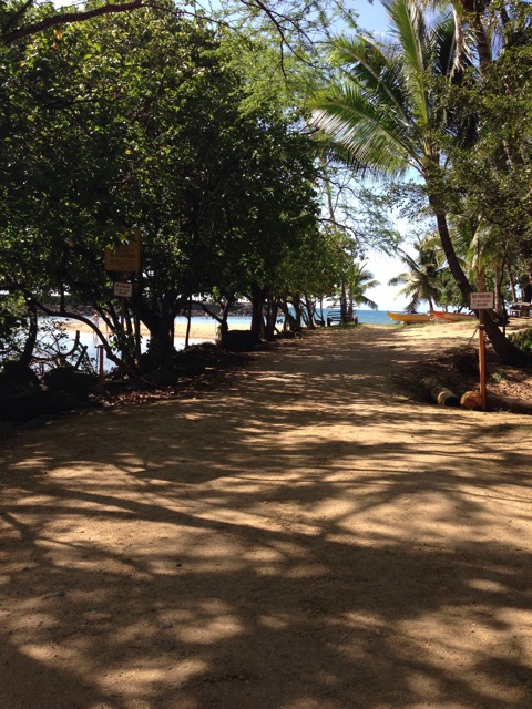 f:id:towaloha:20150415000411j:plain f:id:towaloha:20150415000411j:plain