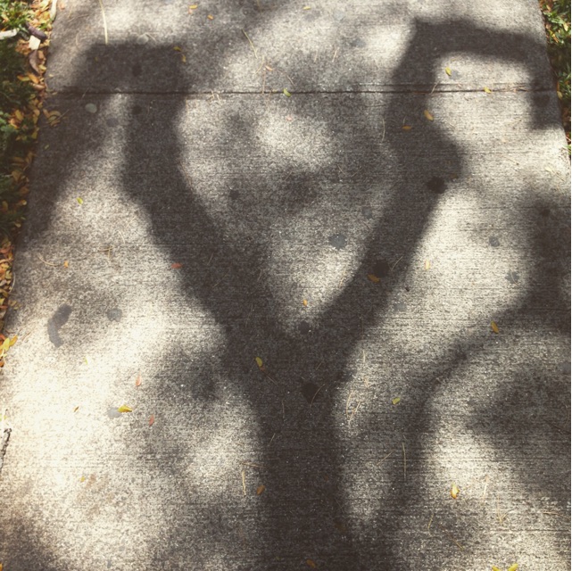 f:id:towaloha:20150418092500j:plain f:id:towaloha:20150418092500j:plain