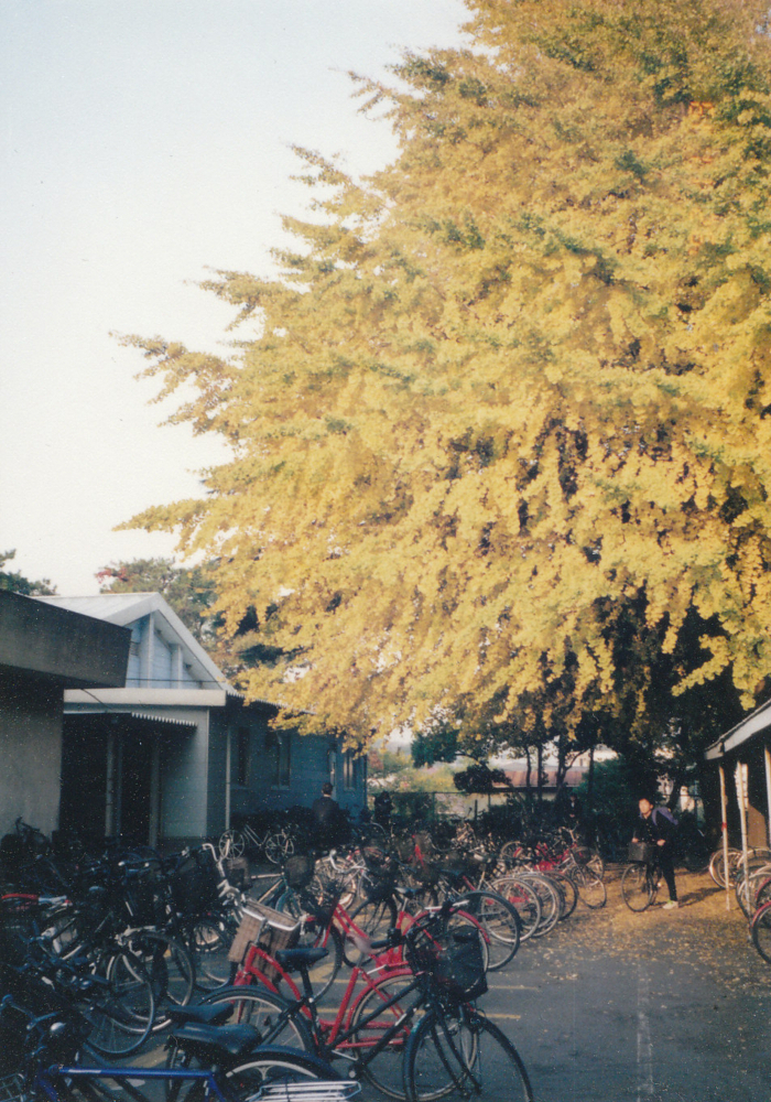 f:id:toya:20101031182308j:plain:w300 f:id:toya:20101031182308j:plain:w300