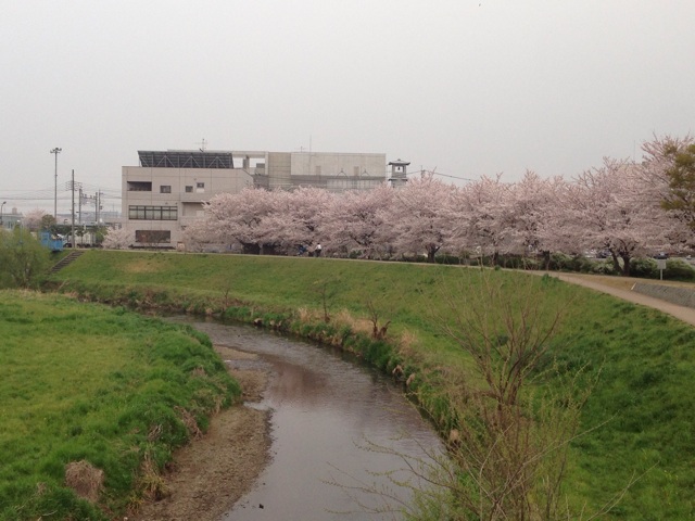 f:id:toyorche:20150402022922j:plain f:id:toyorche:20150402022922j:plain