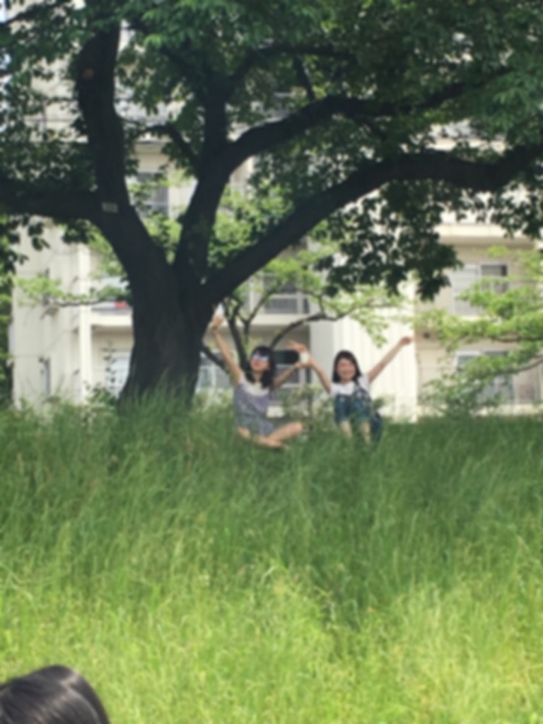 f:id:toyorche:20160529184119j:image f:id:toyorche:20160529184119j:image
