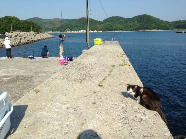 f:id:toyotahomekokoro:20150516114747j:image f:id:toyotahomekokoro:20150516114747j:image