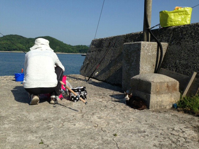 f:id:toyotahomekokoro:20150516115316j:image f:id:toyotahomekokoro:20150516115316j:image