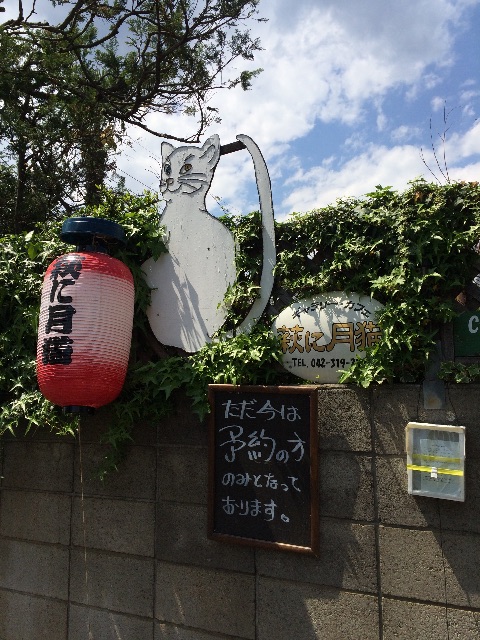 f:id:toyotto8:20150424224739j:image f:id:toyotto8:20150424224739j:image
