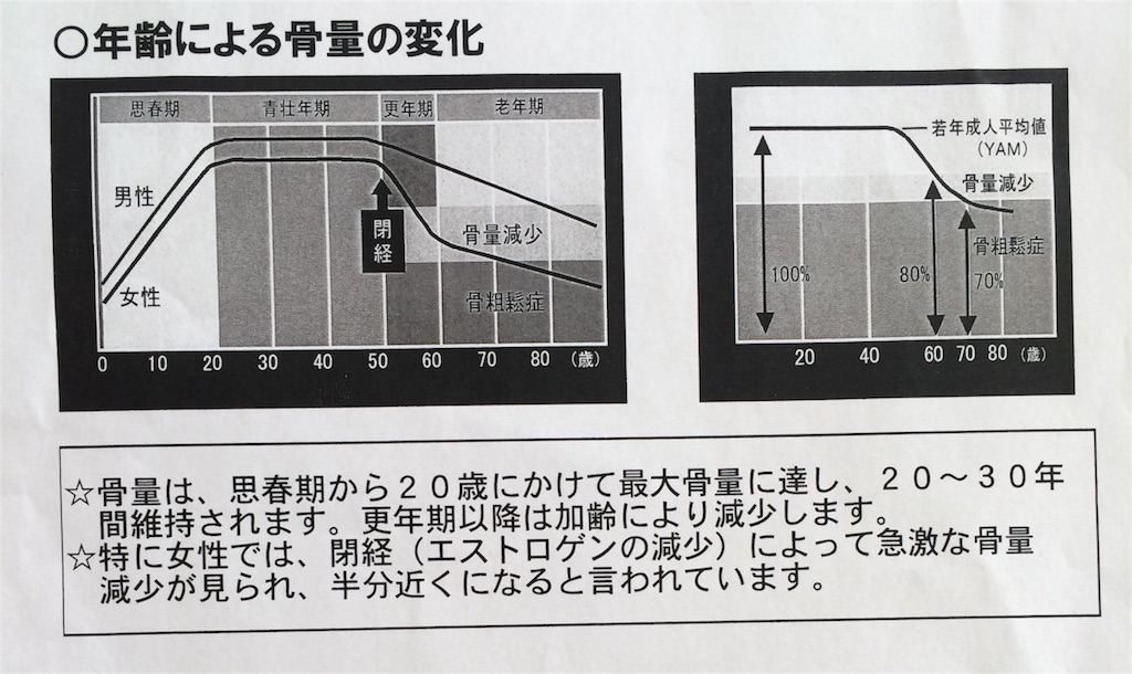 f:id:toyotto8:20151021133621j:image f:id:toyotto8:20151021133621j:image
