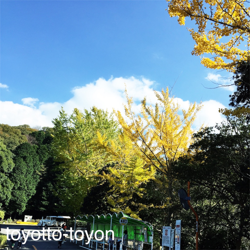 f:id:toyotto8:20151206112935j:image f:id:toyotto8:20151206112935j:image