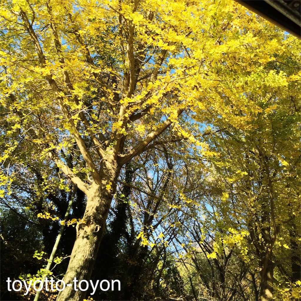 f:id:toyotto8:20151206113045j:image f:id:toyotto8:20151206113045j:image