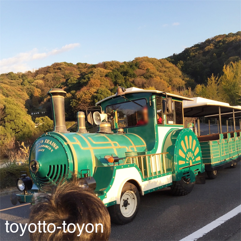 f:id:toyotto8:20151212211210j:image f:id:toyotto8:20151212211210j:image