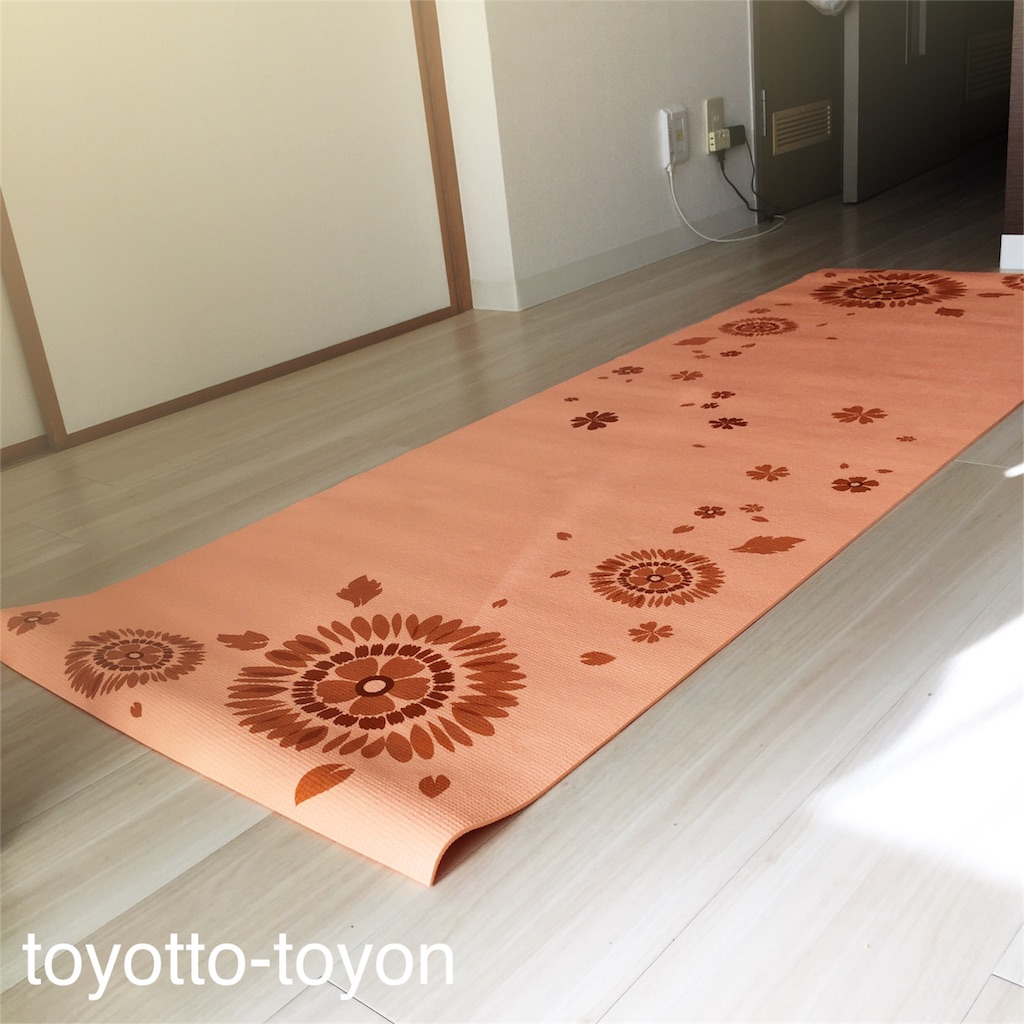 f:id:toyotto8:20151213203320j:image f:id:toyotto8:20151213203320j:image
