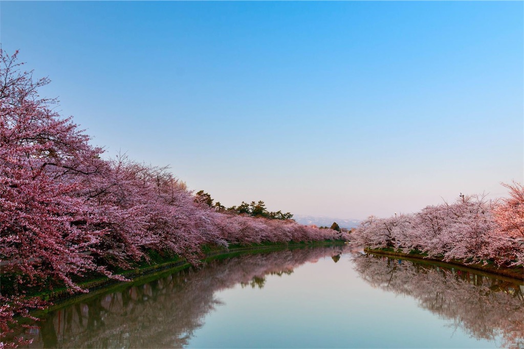 f:id:toyotto8:20160225204000j:image f:id:toyotto8:20160225204000j:image