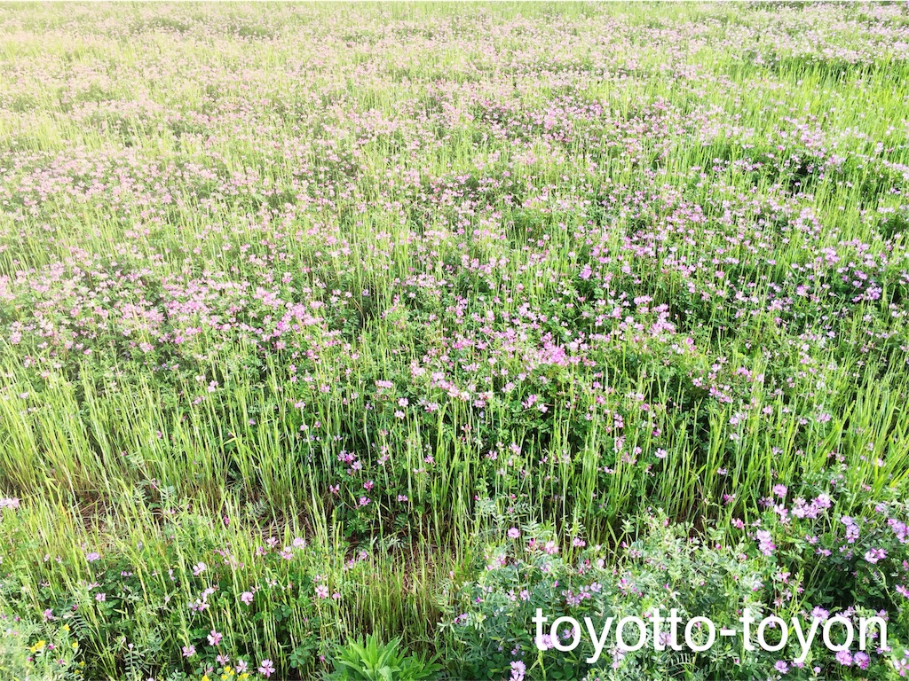 f:id:toyotto8:20160413193400j:image f:id:toyotto8:20160413193400j:image