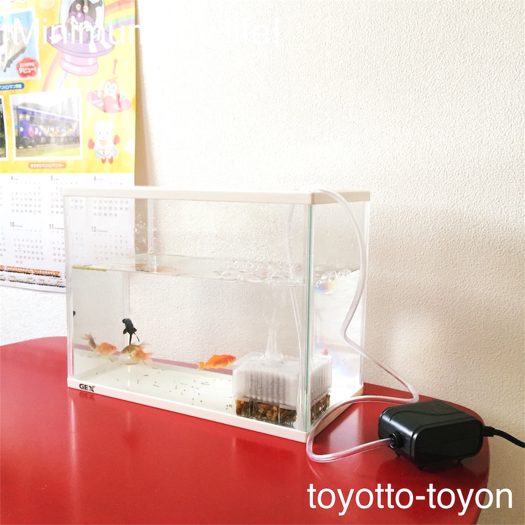 f:id:toyotto8:20160507141339j:image f:id:toyotto8:20160507141339j:image