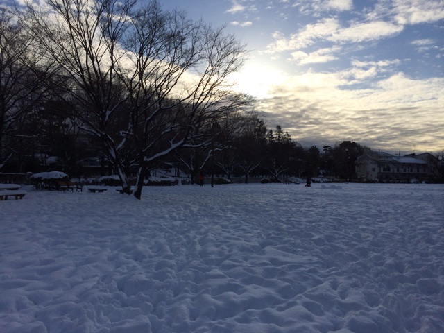 f:id:trailsato:20140209113302j:plain f:id:trailsato:20140209113302j:plain