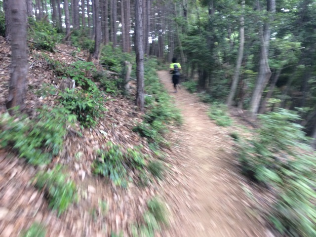 f:id:trailsato:20140519224335j:plain f:id:trailsato:20140519224335j:plain