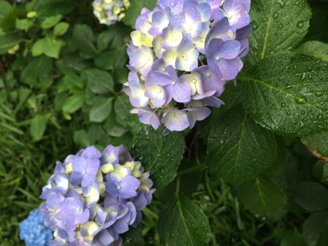 f:id:trailsato:20140606105402j:plain f:id:trailsato:20140606105402j:plain