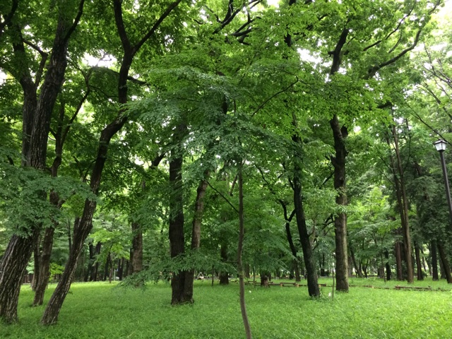 f:id:trailsato:20140606105653j:plain f:id:trailsato:20140606105653j:plain