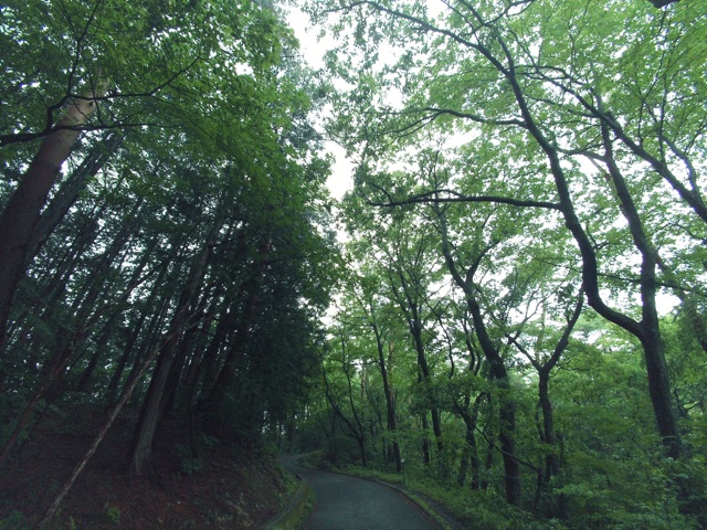f:id:trailsato:20140607234535j:plain f:id:trailsato:20140607234535j:plain