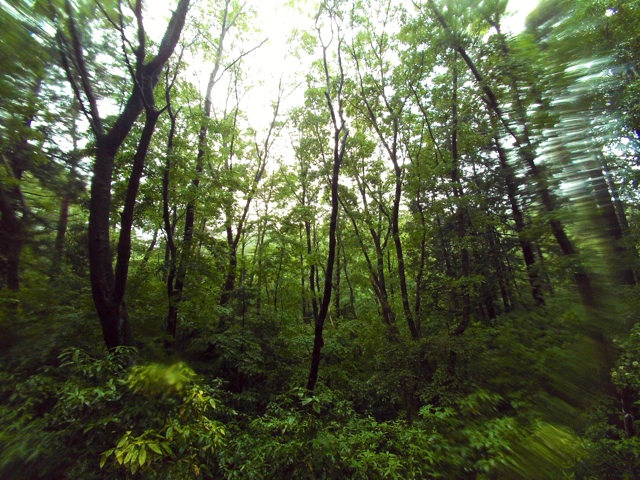 f:id:trailsato:20140608230604j:plain f:id:trailsato:20140608230604j:plain