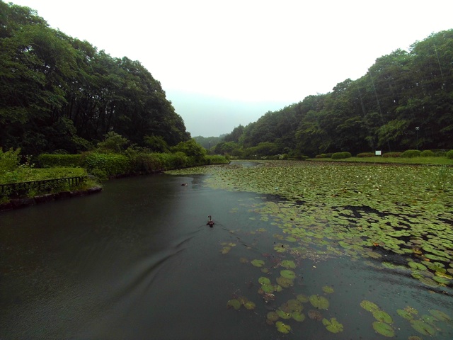 f:id:trailsato:20140608230617j:plain f:id:trailsato:20140608230617j:plain
