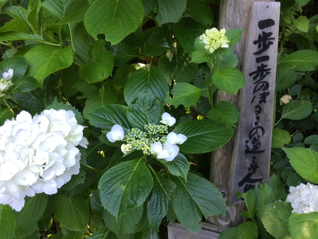 f:id:trailsato:20140614185504j:plain f:id:trailsato:20140614185504j:plain