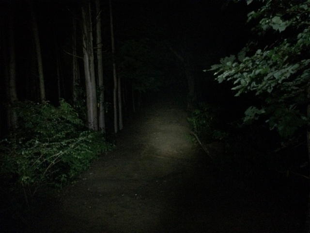 f:id:trailsato:20140624221031j:plain f:id:trailsato:20140624221031j:plain