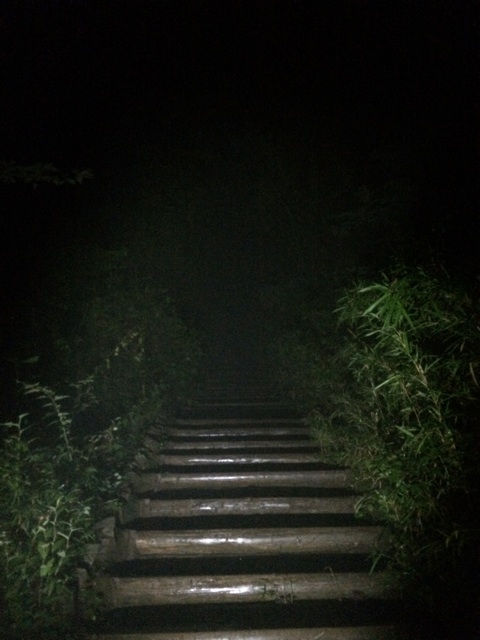 f:id:trailsato:20140624221302j:plain f:id:trailsato:20140624221302j:plain