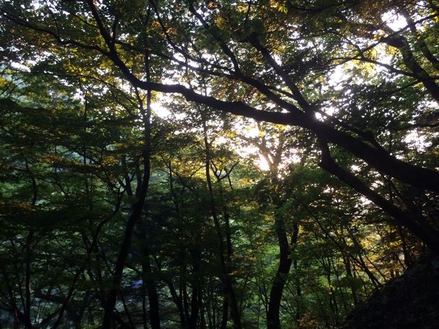 f:id:trailsato:20140727194216j:plain f:id:trailsato:20140727194216j:plain