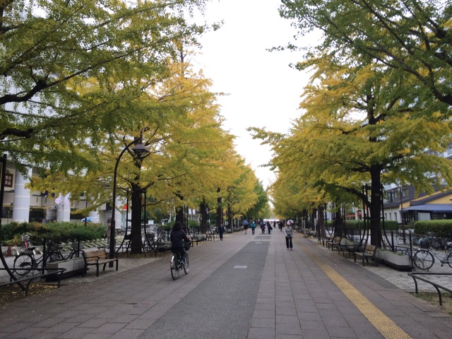 f:id:trailsato:20141110070703j:plain f:id:trailsato:20141110070703j:plain