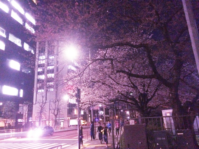 f:id:trailsato:20150326195555j:plain f:id:trailsato:20150326195555j:plain