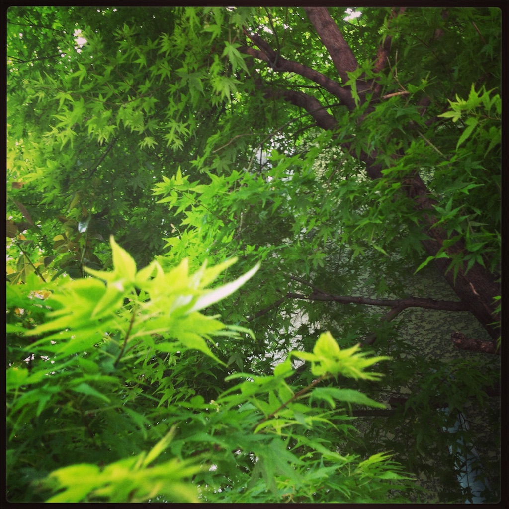 f:id:train1970:20160424111745j:image f:id:train1970:20160424111745j:image