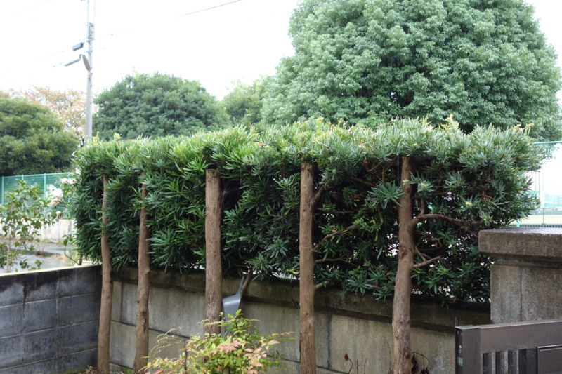 f:id:train313:20141101162457j:plain f:id:train313:20141101162457j:plain