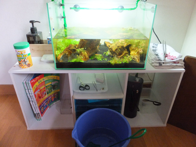 f:id:trapaqua45:20130707223430j:plain f:id:trapaqua45:20130707223430j:plain
