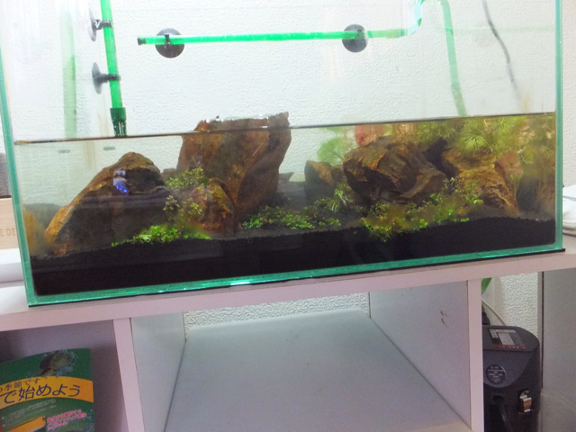 f:id:trapaqua45:20130707223832j:plain f:id:trapaqua45:20130707223832j:plain