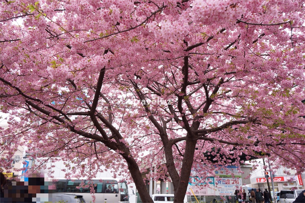 f:id:travelwz:20160211174513j:image f:id:travelwz:20160211174513j:image
