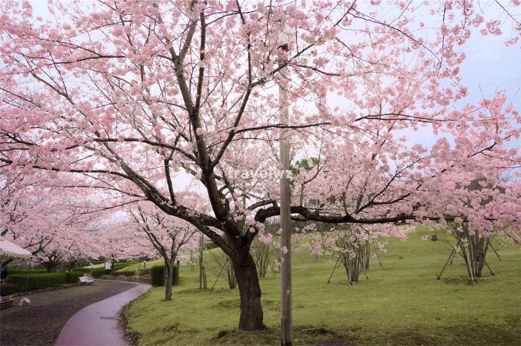 f:id:travelwz:20160406172419j:image f:id:travelwz:20160406172419j:image