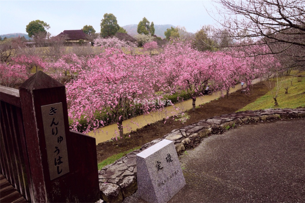 f:id:travelwz:20160406172940j:image f:id:travelwz:20160406172940j:image